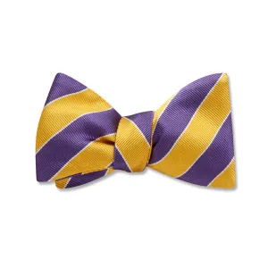 Scholastic Purple/Gold - Kids' Bow Ties