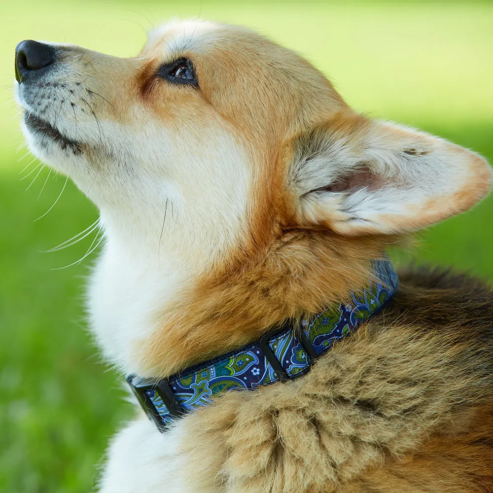 Sevivon - Dog Collar