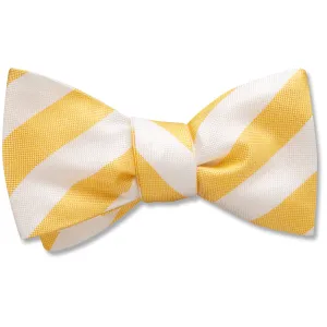 Sunnybrook - bow ties