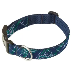 Teviot - Dog Collar