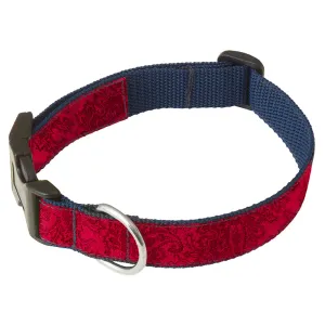 Toscanini - Dog Collar
