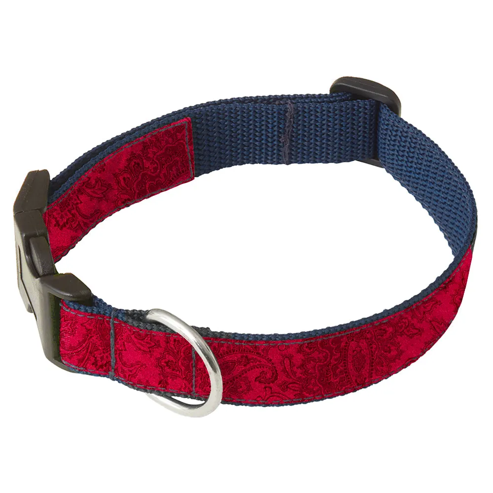 Toscanini - Dog Collar