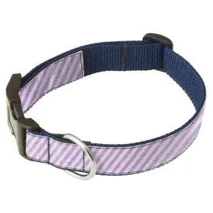 Totten - Dog Collar