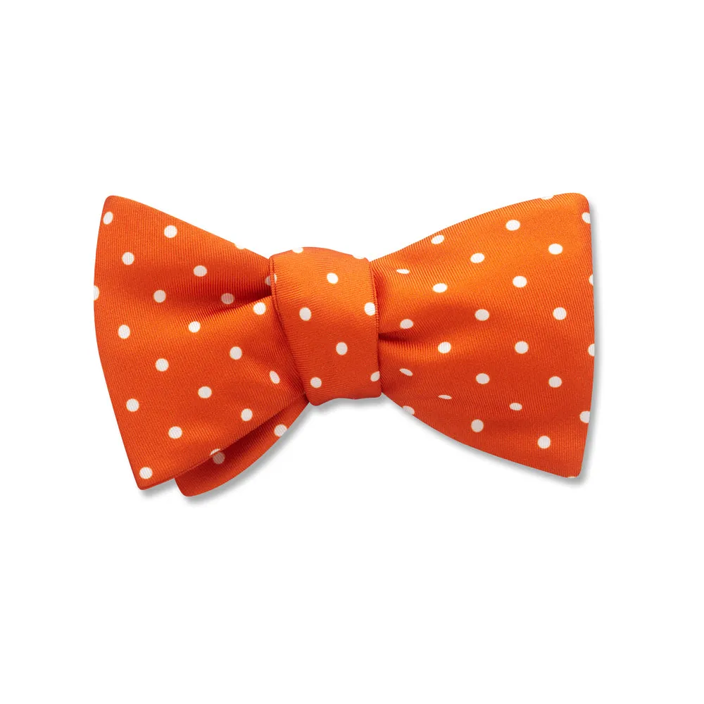 Wallonia - Kids' Bow Ties