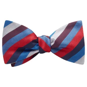 Windermere - Dog Bow Ties